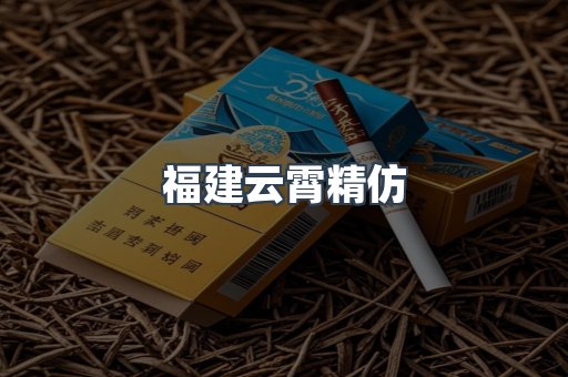 福建云霄精仿